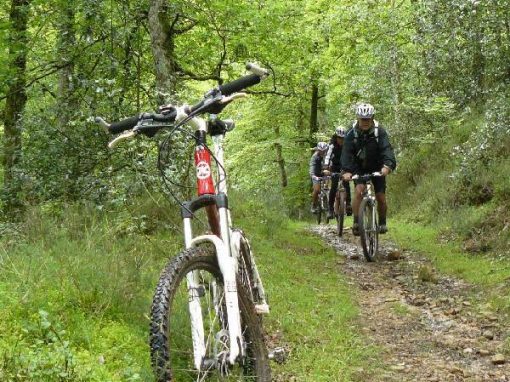 Bici de montaña – Ruta Tajahierro