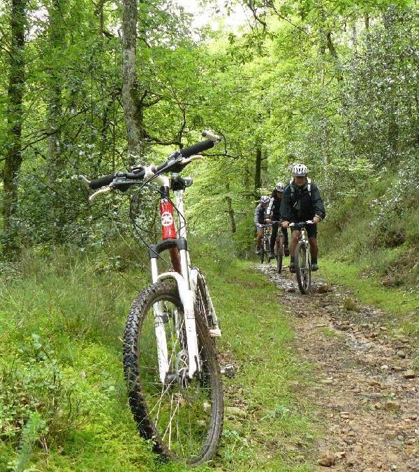 Bici de montaña – Ruta Tajahierro