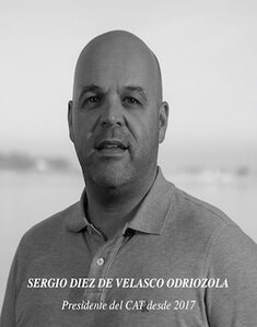 D. SERGIO DIEZ DE VELASCO ODRIOZOLA